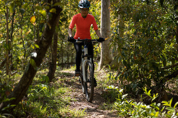 Poster - Mountain biking in spring forest