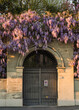 entrance of a building with wisteria flowers on top 