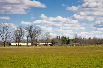 Wall Mural - Early spring countrside landscape.