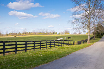 Wall Mural - Early spring countrside landscape.