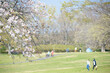 © uki_koto - 春の公園を散歩する人々