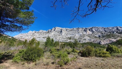 Wall Mural - sainte victoire