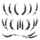 Fototapeta  - wheat and barley, rye stalks set icons