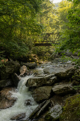 Wall Mural - Old Bridge Over Enloe Creek