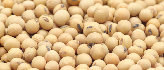 Close-up shot on a background of a pile of dried soybeans. for product advertisement