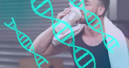 Poster - Animation of dna over happy caucasian man drinking water and resting at gym