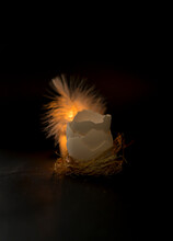 Composition Of Eggs In The Studio Using Light On A Black Background