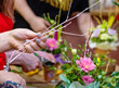 © Ermolaeva Olga - Close-up of woman florist hands cutting stem of flowers with scissors on white background. Concept of working with flowers, floral business.