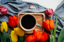 Stylish Ceramic Cup With Black Coffee And Red, Yellow Fresh Tulips On Stylish Gray Fabric. Atmospheric Vertical Image Of The Drink. Selective Focus
