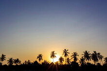 Sun Setting Behind Silhouettes Of Palm Trees