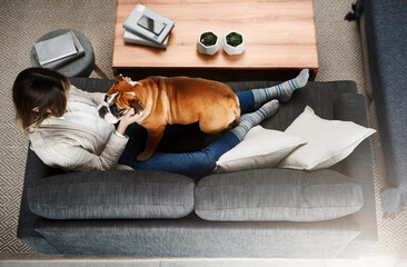 Poster - Everyone needs a bit of cheering up. Shot of an attractive young woman sitting on her sofa relaxing at home with her dog.