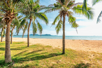 Wall Mural - Beautiful beach in Thailand