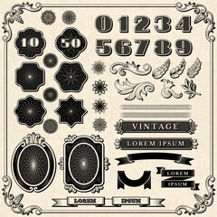 financial ornaments. vintage fonts frames numbers for print money design recent vector templates col