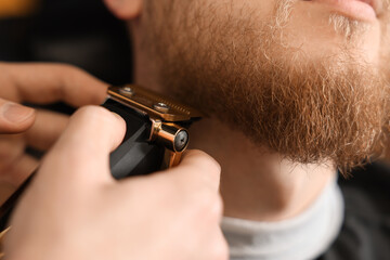 Wall Mural - Professional hairdresser working with bearded client in barbershop, closeup