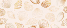 Sea Shells Horizontal, Artistic, Colorful, Abstract, Background Banner. Light Background.