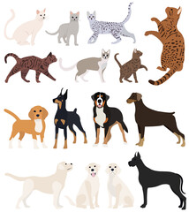 Wall Mural - cats and dogs set flat design, isolated, vector