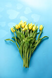 Fototapeta Tulipany - A bouquet of yellow tulips on a blue background with heart-shaped shadows
