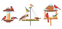 Bird Feeder. Winter Food Feed For Birds, Woodland Feeding Cardinal Chickadee, Garden Hanging Backyard Birdhouse With Seeds, Wildlife Construction, Poster Vector Illustration