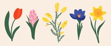 Vector Illustration. Set Of Spring Flowers. Hand-drawn, Vibrant Colors. Narcissus, Hyacinth, Mimosa, Crocus, Tulip.