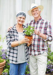 Sticker - Weve never had the time to garden before. A happy senior couple busy gardening in their back yard.