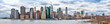 New York City downtown skyline panoramic view