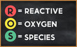 reactive oxygen species(ros) on chalk board
