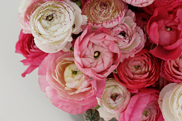 Wall Mural - Close up shot of beautiful white and pink bi color ranunculus bouquet. Visible petal structure. Detailed bright patterns of flower buds. Top view, background, copy space for text.