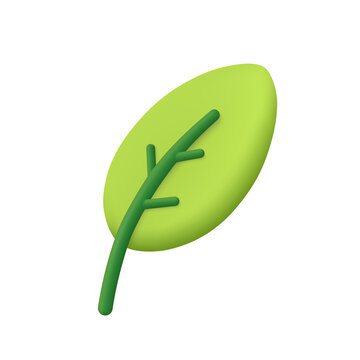 Wall Mural - Leaf of tree and plant. Ecology, bio and natural products concept. 3d vector icon. Cartoon minimal style.