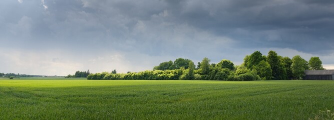 Wall Mural - Green hills of a plowed agricultural field and forest. Idyllic summer rural scene. Dramatic sky, rain, thunderstorm. Pure nature, environnement, farm, countryside living, ecotourism. Panoramic view