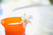 オレンジ色の沖縄ガラスのコップに挿した蘭の花　デンファーレ