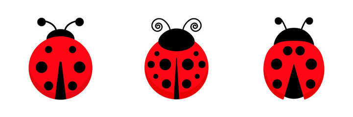 Poster - Ladybug cute character set. Three little red ladybird. Vector isolated on white.