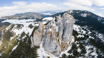 Wall Mural - Aerial drone view of the spring Carpathians, Romania