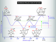 Newman Projection Of Butane