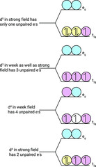 Wall Mural - Structure of unpaired electrons