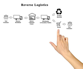 Canvas Print - Woman presenting process of Reverse Logistics