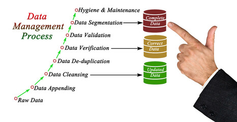 Wall Mural - components of data management process