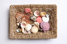 Set Of Different Sea Shells Isolated On White, Top View. Montessori Toy