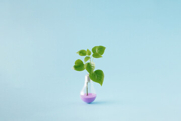 Energy efficiency scene with green leaves growing out of incandescent light bulb filled with purple sand on blue background.