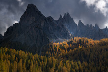 Larch Trees With Their Beautiful Yellow Autumn Colors With The Impressive Mountain Peaks Of The Italian Dolomites In The Background. The Dark Clouds Behind The Mountains Are A Bit Moody.
