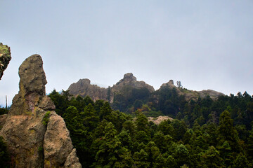 Wall Mural - montañas detrás de una neblina leve con un bosque de coníferas enfrente y una roca enorme en primer plano en mineral del chico hidalgo