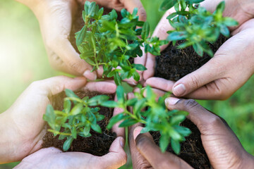 Poster - Conserving nature. Shot of four people each holding a plant growing in soil.