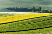Fields of South Moravia, Czech Republic
