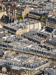 Canvas Print - Parisian rooftops