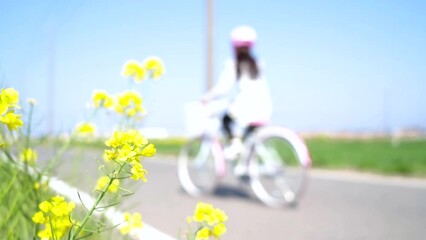 Wall Mural - 日本の田舎で自転車に乗る小学生の女の子