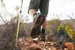 © Wavebreak Media - Low section of young male caucasian adventurer with hiking poles amidst plants in wilderness