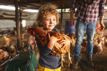 Cute Blond Boy Holding Hen With Father In Background At Pen At Poultry Farm