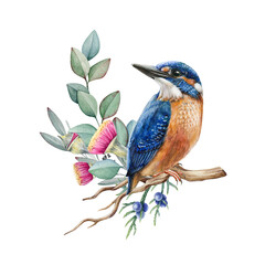 kingfisher bird on eucalyptus branch. watercolor illustration. hand drawn realistic kingfisher on th