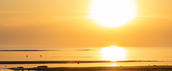 Canvas Print - Beautiful sunset and birds at seaside.