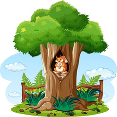 Poster - Nature scene with squirrel in the tree