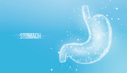 Human stomach. Wireframe low poly style. Concept for medical, treatment of the digestive system. Abstract modern 3d vector illustration on blue background